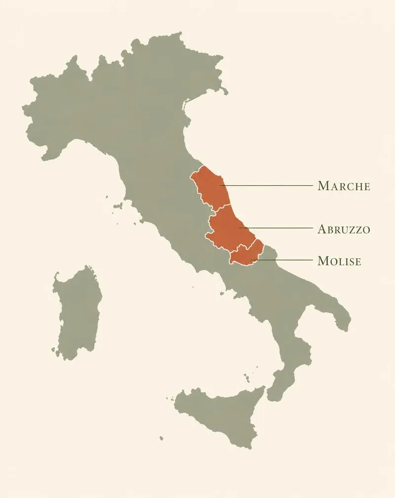 Karta över Italien med Abruzzo, Marche och Molise markerade — områdena där druvan Montepulciano odlas
