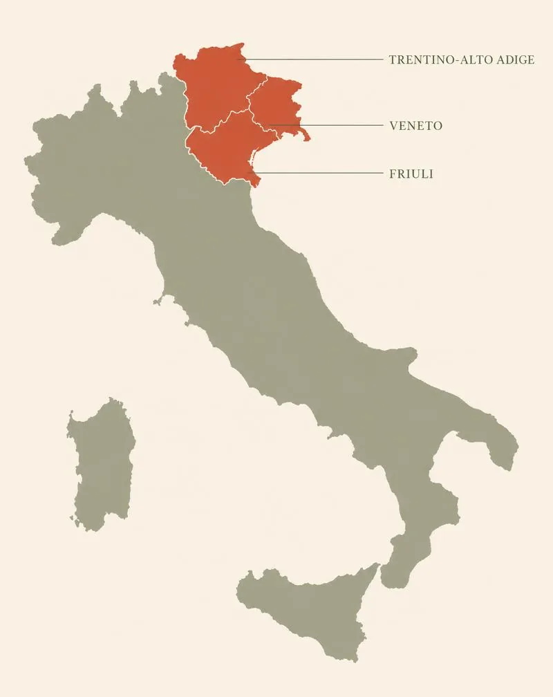 Karta över Italien med Trentino-Alto Adige, Veneto och Friuli markerade — områdena där druvan Moscato Giallo odlas